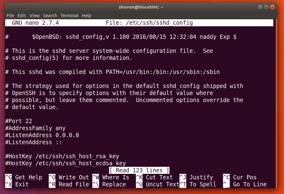 Enable ssh server puppy linux